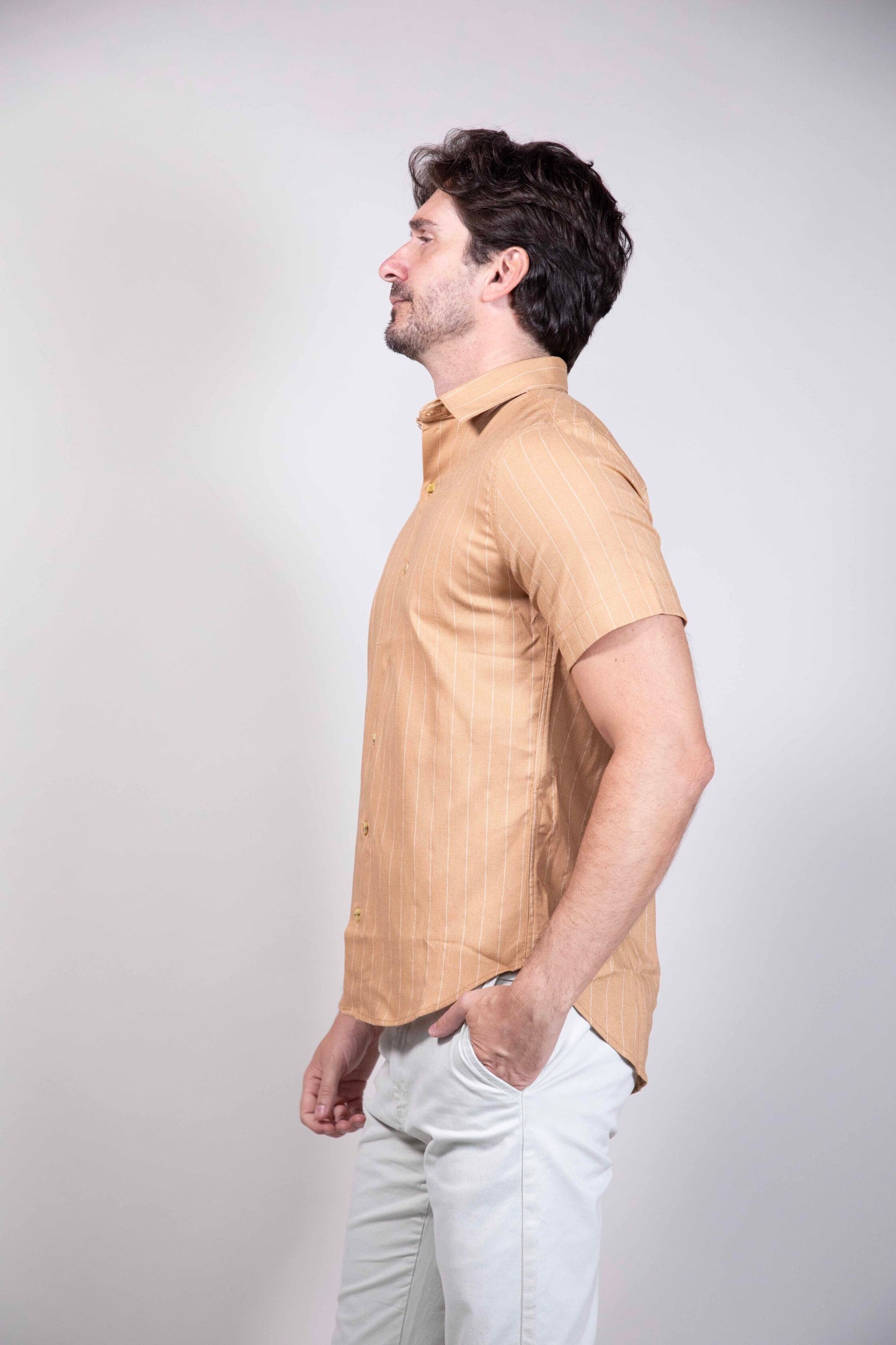 Camisa Risca de Giz Manga Curta